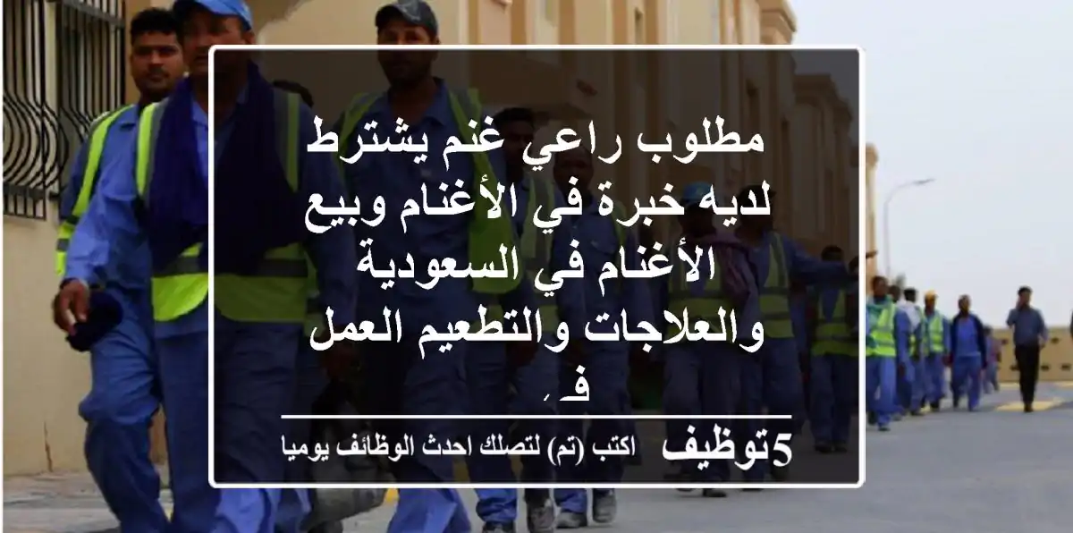 مطلوب راعي غنم يشترط لديه خبرة في الأغنام وبيع الأغنام في السعودية والعلاجات والتطعيم العمل في ...