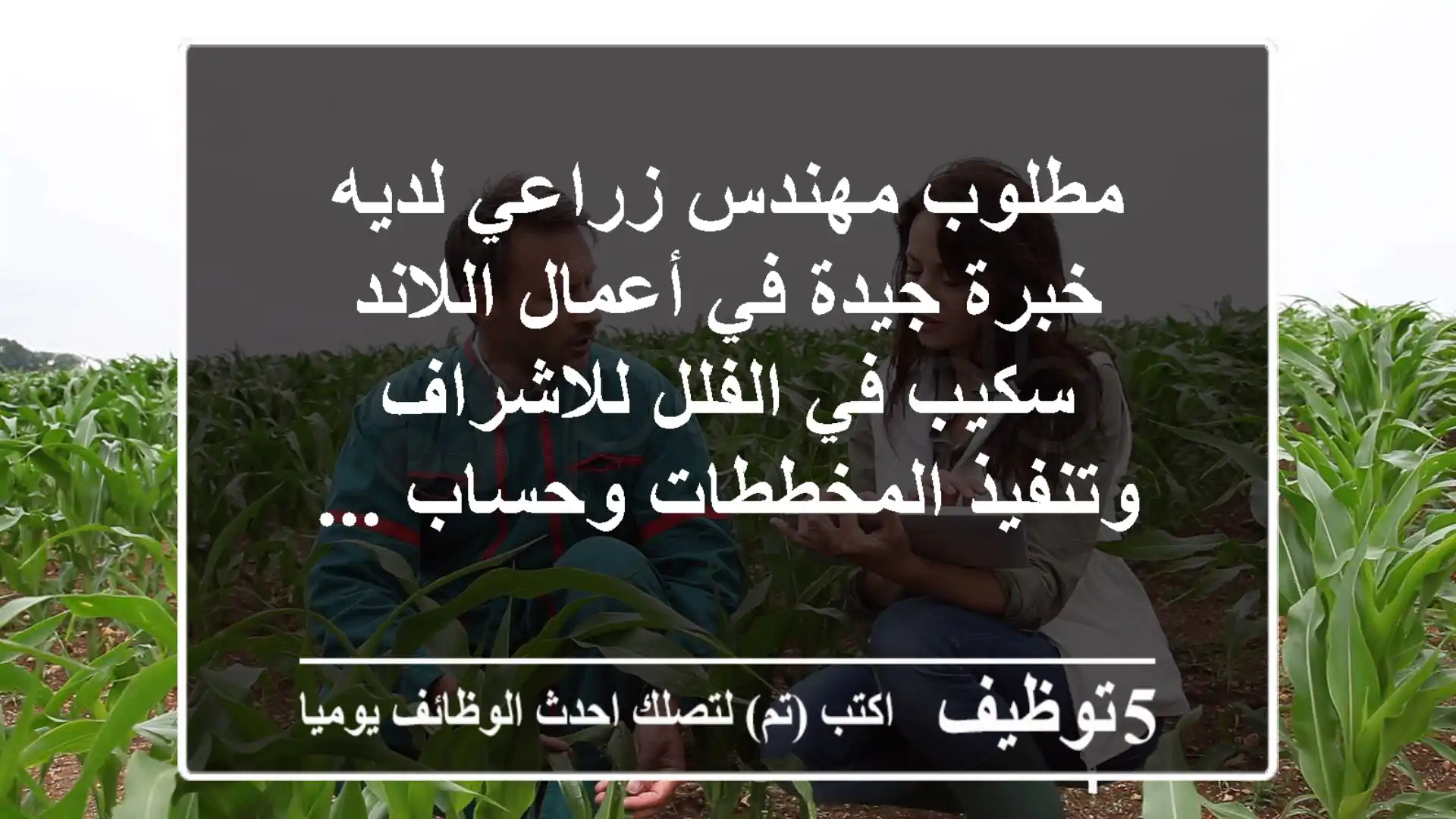 مطلوب مهندس زراعي لديه خبرة جيدة في أعمال اللاند سكيب في الفلل للاشراف وتنفيذ المخططات وحساب ...